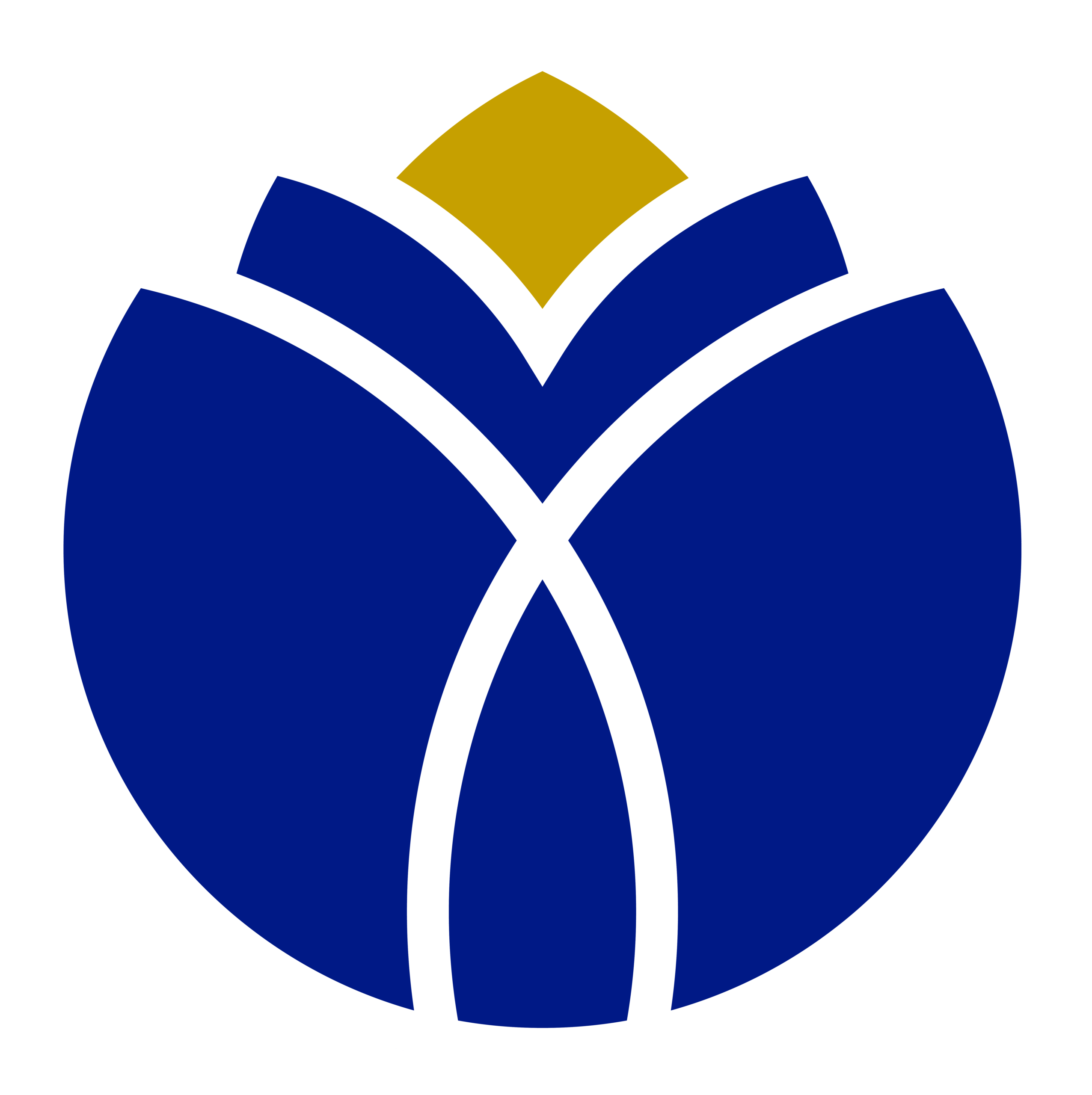 Logo Institusi